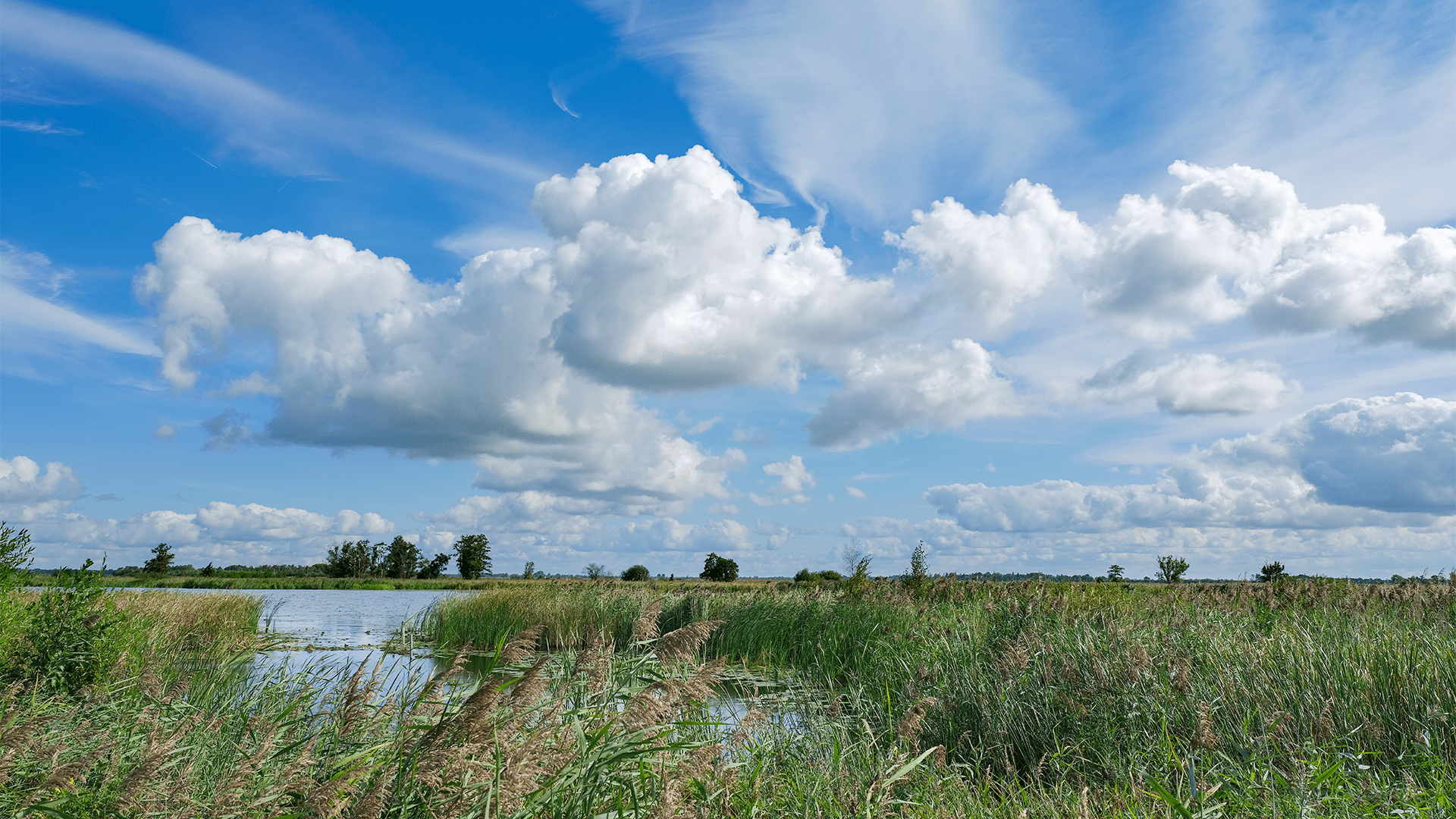 implementatie transitie nederland water bodem