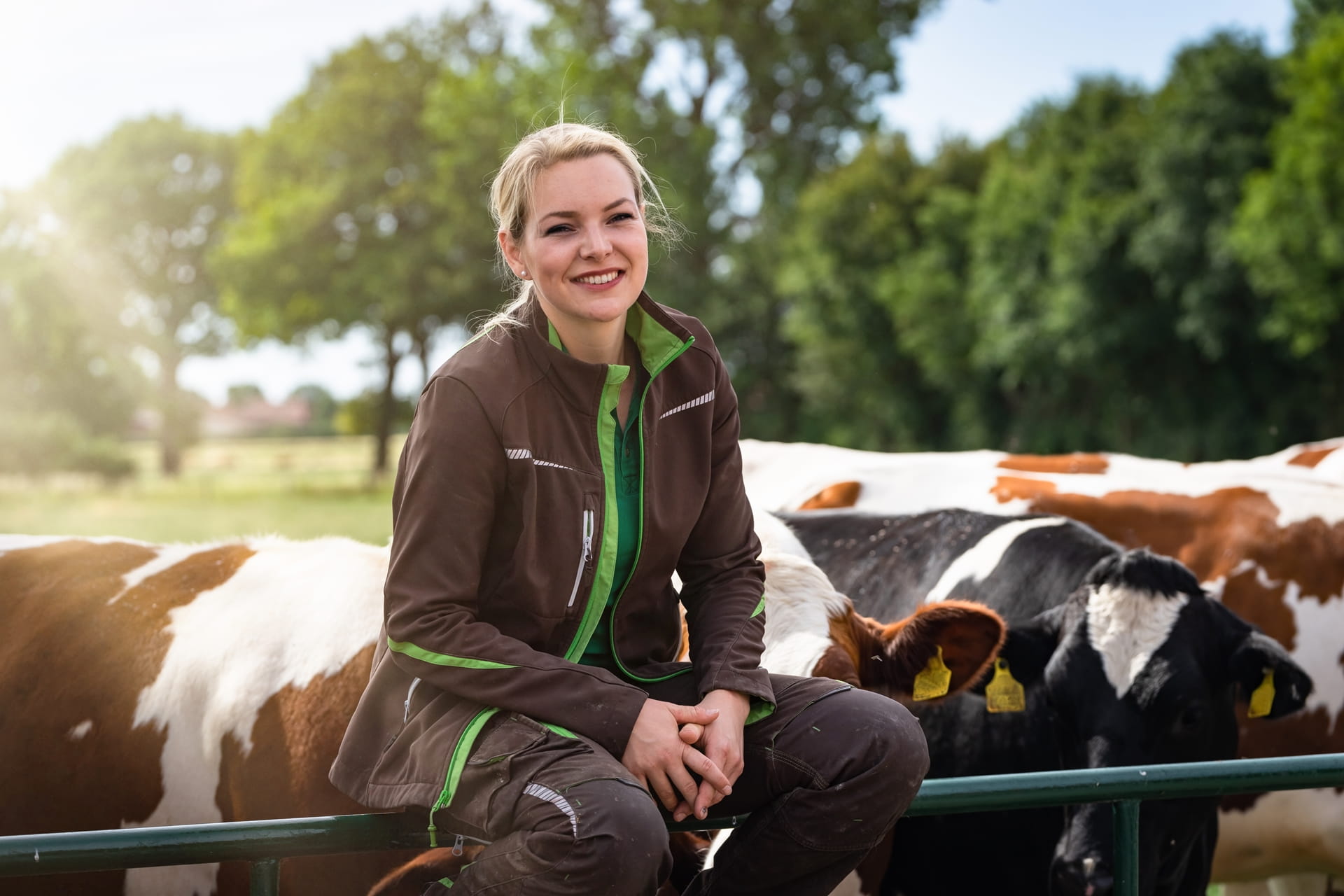 Werk vrouw zit op een hek voor een veld met koeien in een landelijk gebied in Nederland