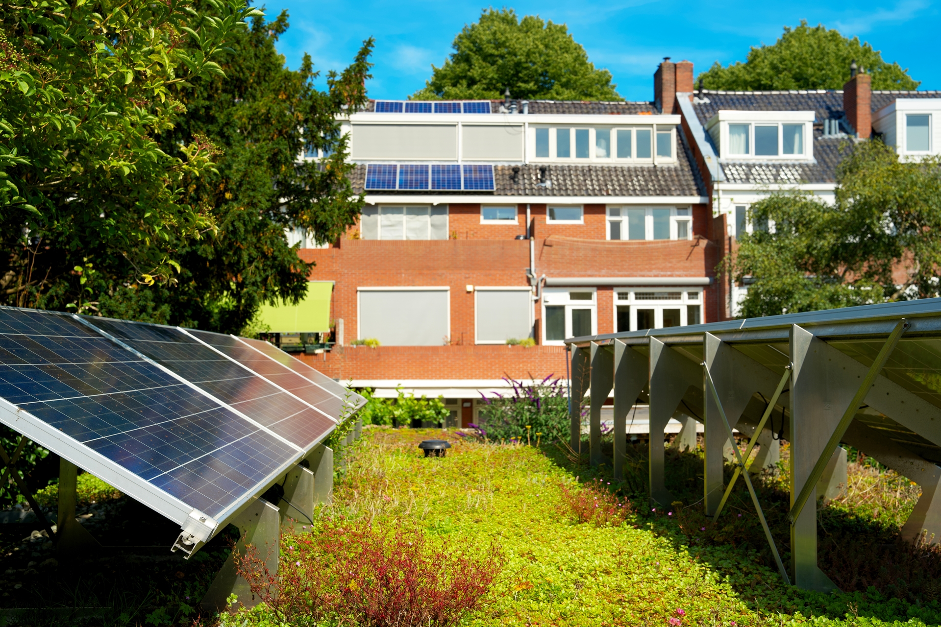 Brandveilig groen dak met zonnepanelen 