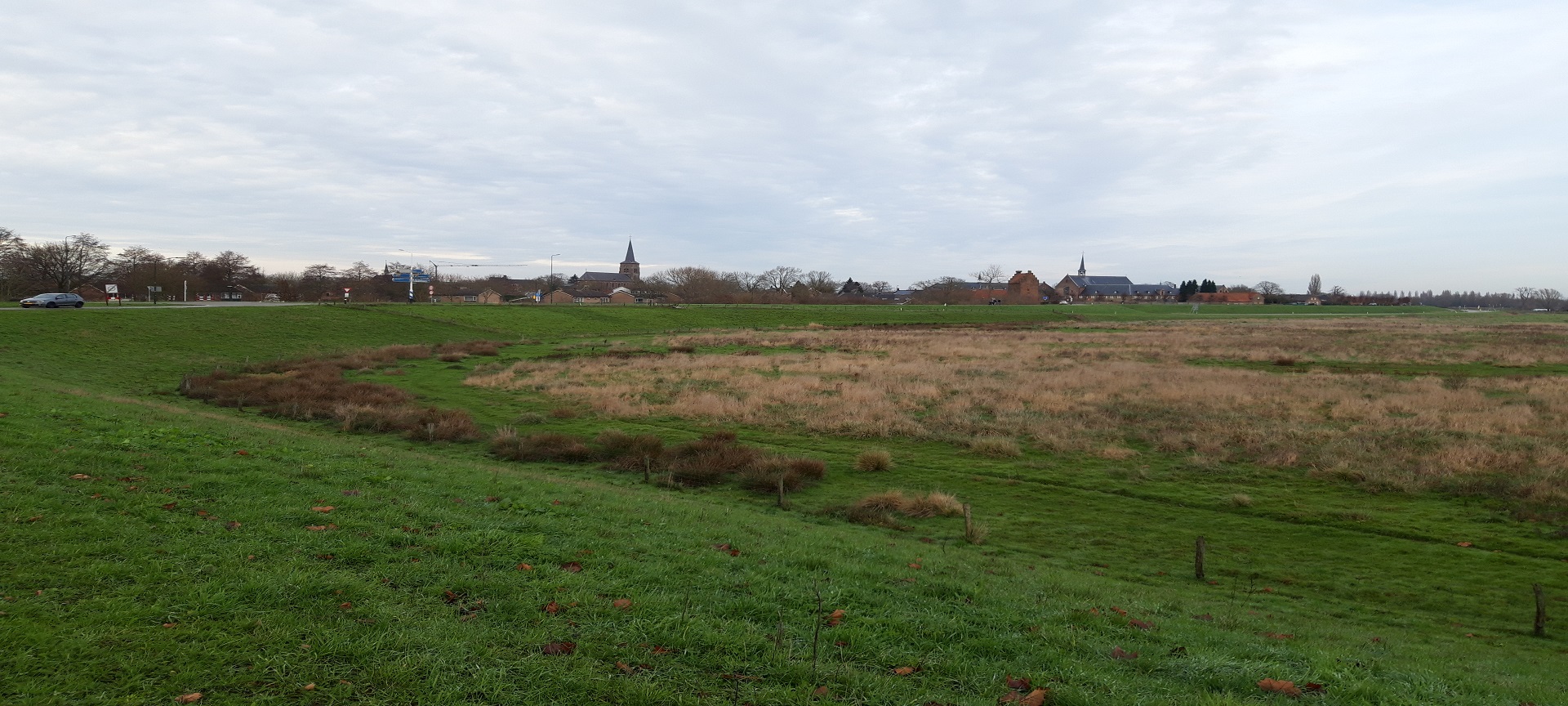 Landschap in omgeving Brabantse Maasdijk