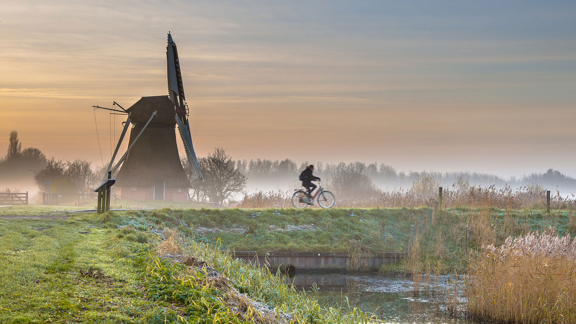 Veilig oversteken geeft boost aan fietsstrategie Groningen l Royal HaskoningDHV